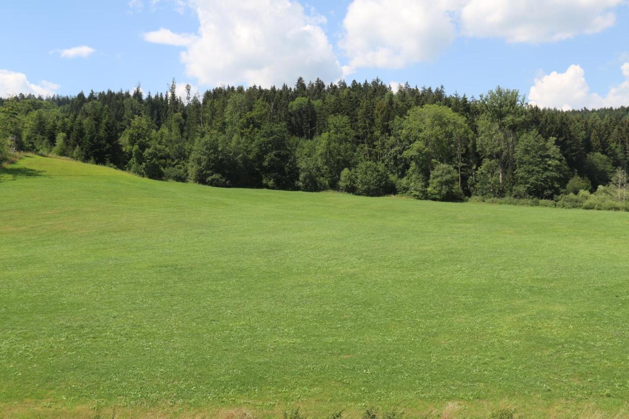 Baumkrone Im Happy Allgaeu - 2-stoeckige Mit Wohnnetz